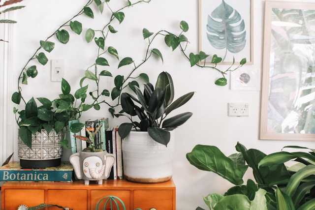 ボタニカルインテリアとは？植物を活かした空間作りのコツとメリット